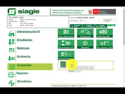 SIAGIE - Registro de calificativo anual de competencia y área por Excel