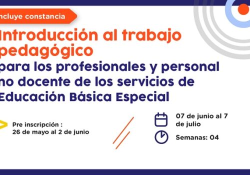 Curso virtual autoformativo "Introducción al trabajo pedagógico para los profesionales y personal no docente de los servicios de Educación Básica Especial"